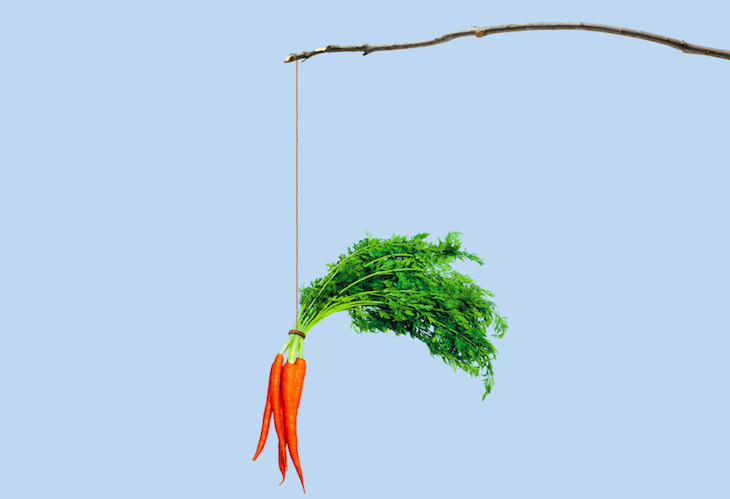 carrot and stick