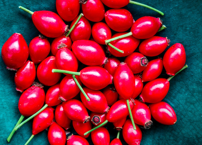 Rosehip drinks